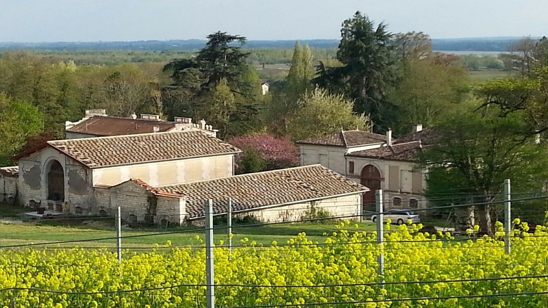 Sirtaqui -Château l'Escarderie - extérieur