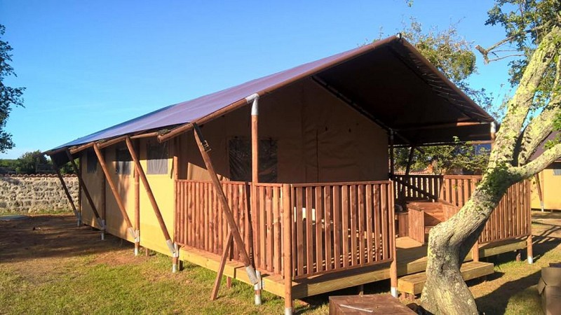 19657439_506164233108469_5191385377111732854_n