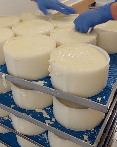 Fromagerie des Bries-de-Saint-Rémy