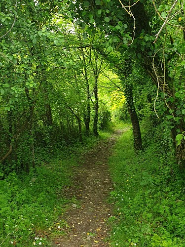 Sentier-rando-Vauclaire