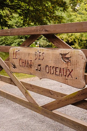 le chant des oiseaux