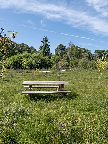 P1080892©OT Tulle en Corrèze