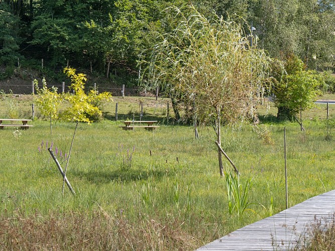 P1081008©OT Tulle en Corrèze