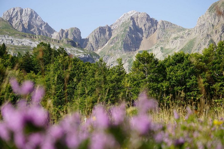 Espace du Somport en été 8