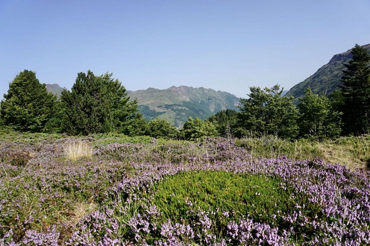 Espace du Somport en été 7