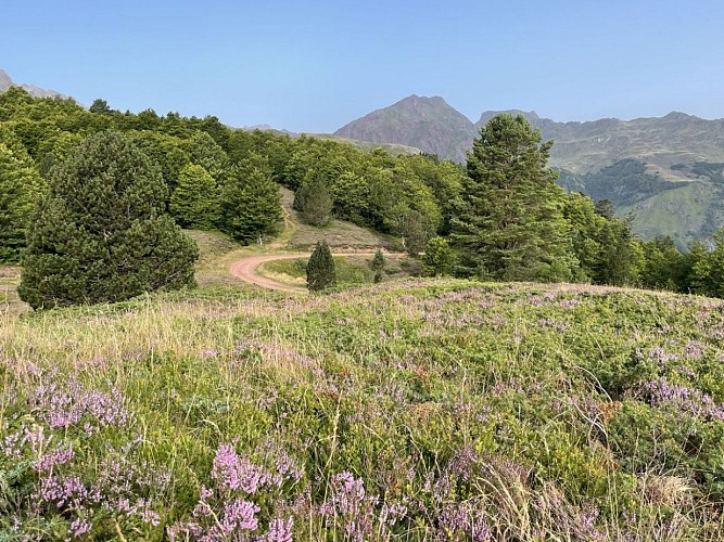 Espace du Somport en été 4