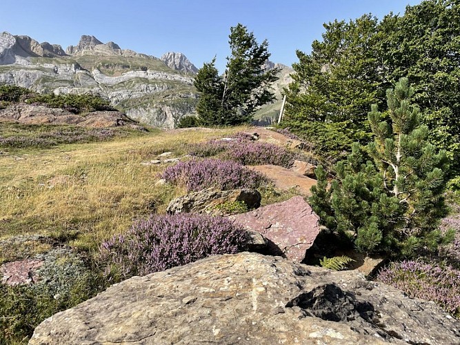 Espace du Somport en été 3