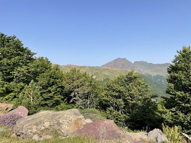 Espace du Somport en été 2