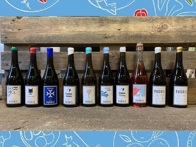 Vignobles pudris