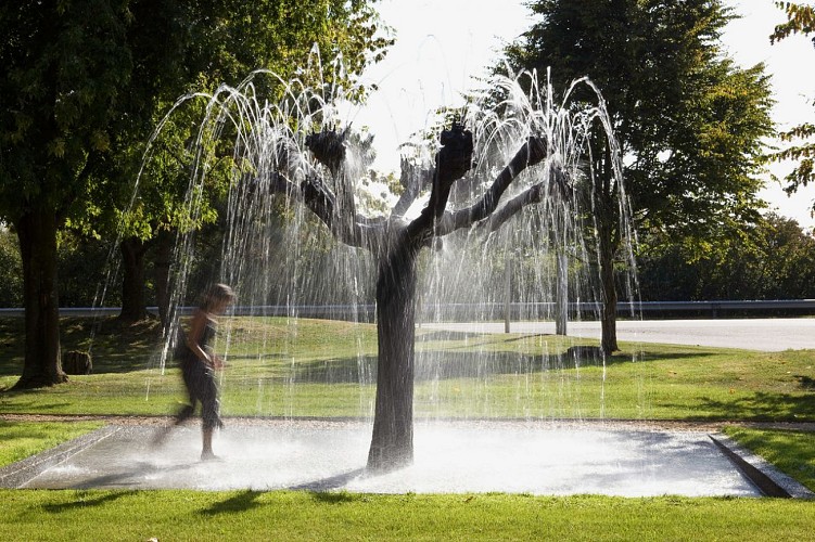 Aire de pique-nique de Delme