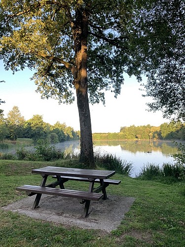 Aire de pique-nique de l'étang du Gué