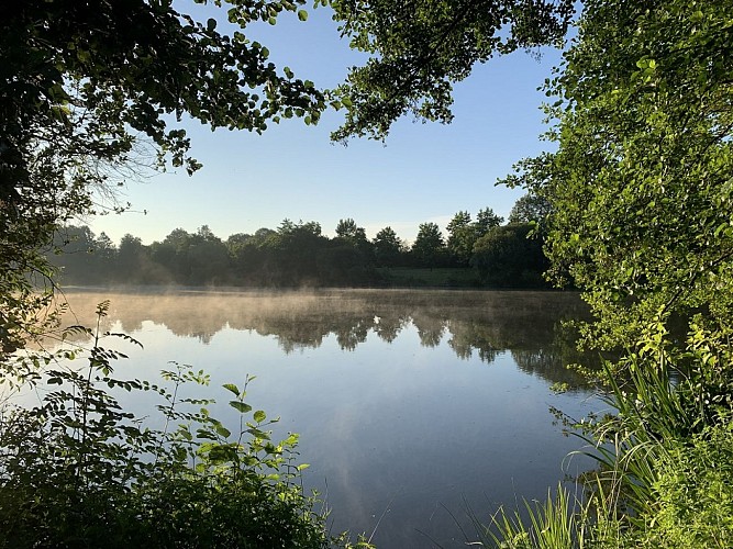 Aire de pique-nique de l'étang du Gué