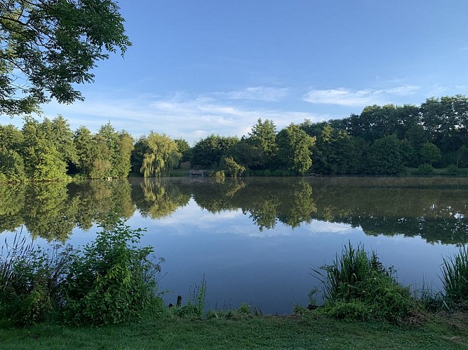 Aire de pique-nique de l'étang du Gué