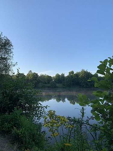 Aire de pique-nique de l'étang du Gué