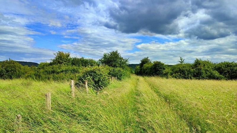 Le chemin sous les Côtes | non fauché à date