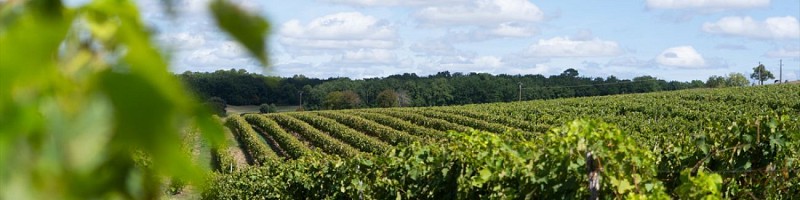 Domaine Château des Plassons