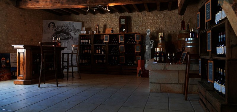 Domaine Château des Plassons