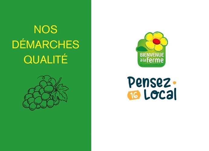 Domaine Château des Plassons