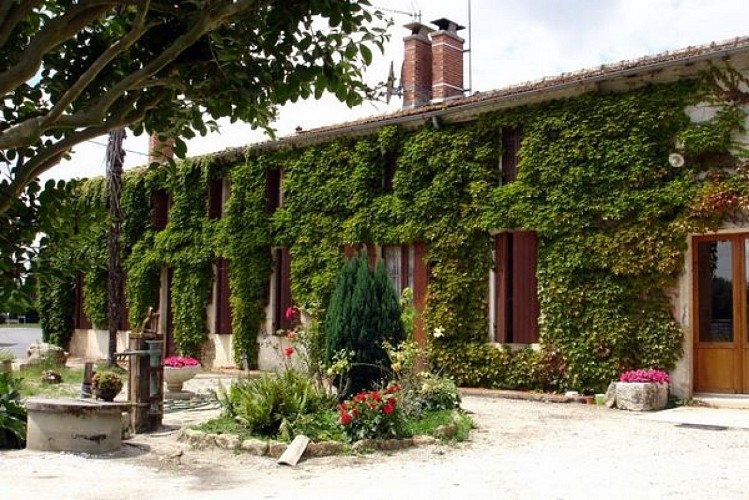 Gaillan en Médoc - Château Gadet-Terrefort