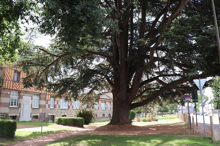 Ecole élémentaire Jean Maillard