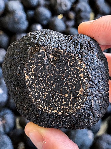 Domaine du Châtelet