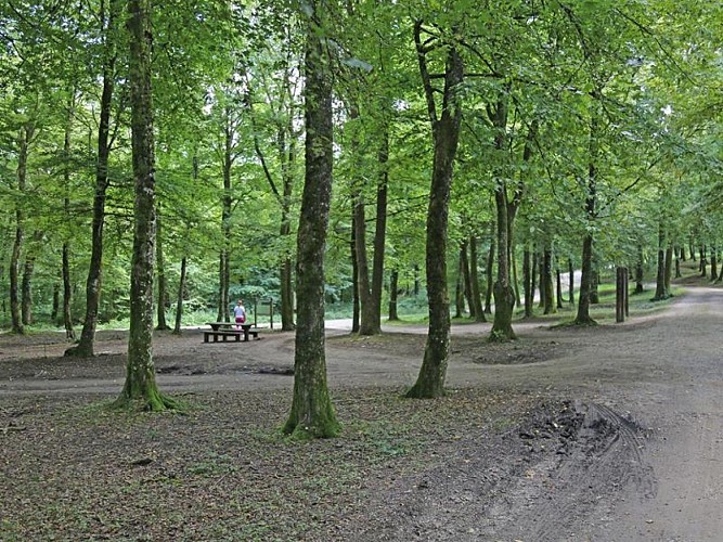 Souville picnic area