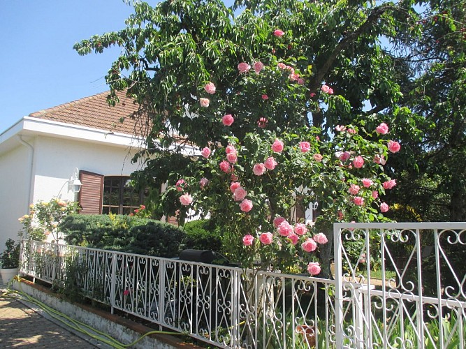 Casa de Chantal Komisarek - Les Roses de Rita