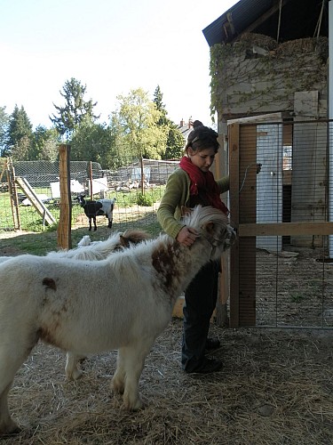 Marie à la ferme