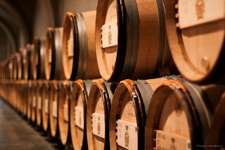 Château Gruaud Larose 5