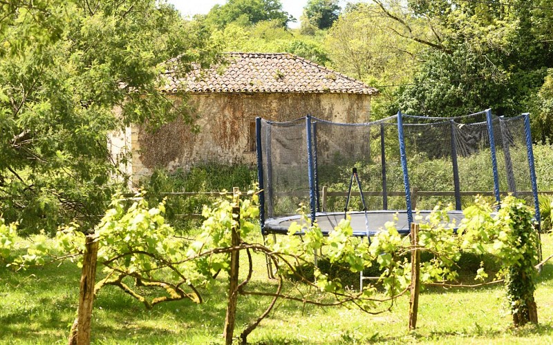 Domaine Argia, parc 2