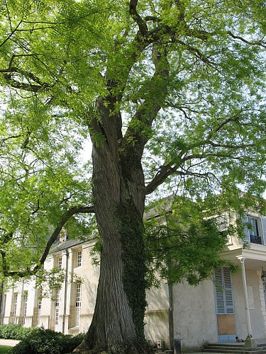 parc départemental du château