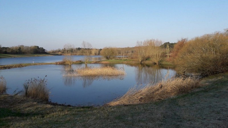 site naturel de courpain à Ouvrouer-les-champs