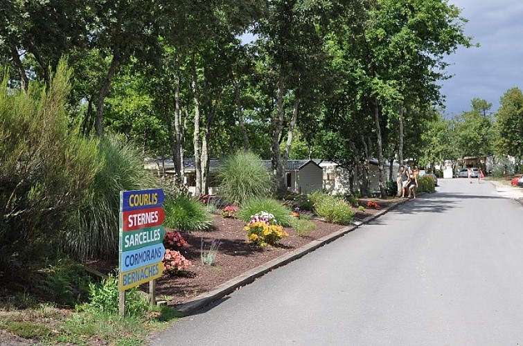 Camping Les goélands - Arès Bassin d'Arcachon ©Les goélands