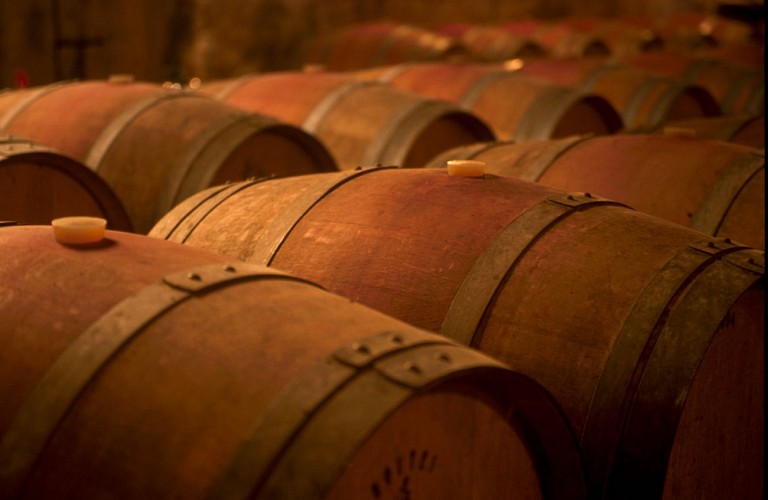 Domaine du Grand Ormeau Chai barriques