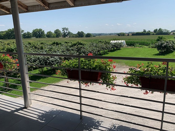 Balcon gîte maniort