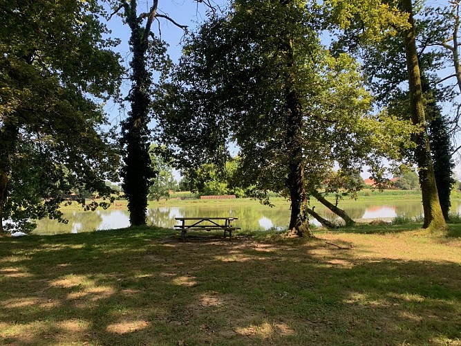 Etang à proximité du gîte