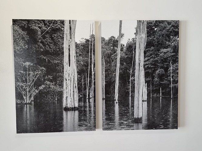 Centre d'Art et Rencontres Curiox