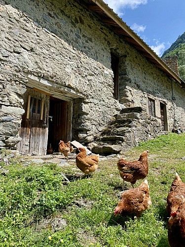 Refuge du Rivobruenti