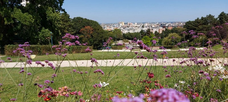 Parc de la Butte du Chapeau rouge