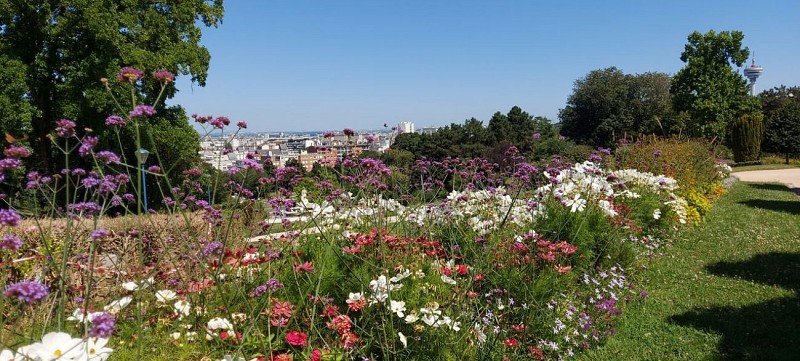 Parc de la Butte du Chapeau rouge