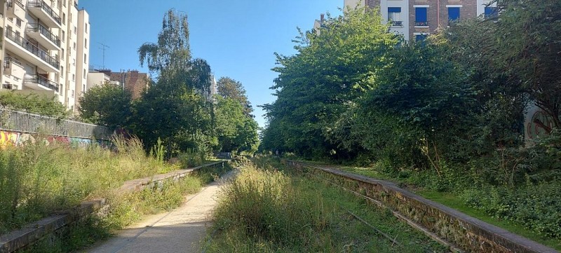 La petite ceinture