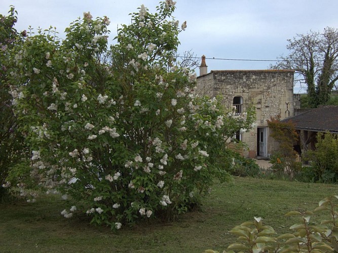 WhatsApp Image 2024-05-05 at 12.38.40 (5)