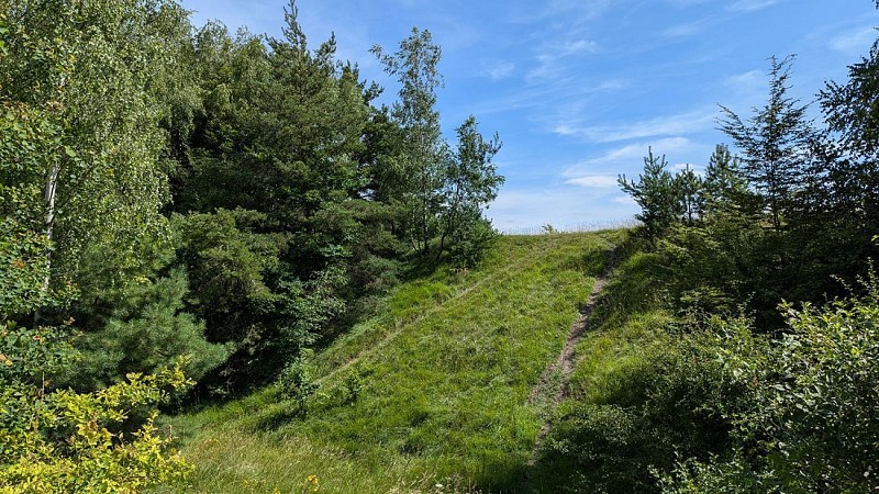 Ancien oppidum du Vieux Laon II