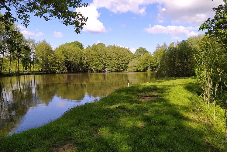 IMG_20200505_172727_1