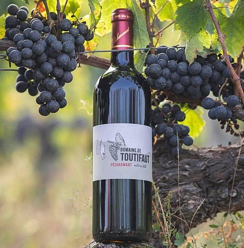 Domaine de Toutifaut à Creysse