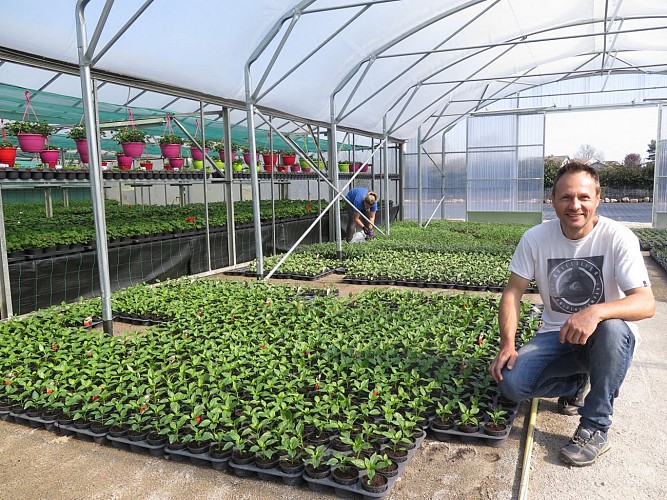 a-la-source-fleurie-gregory-brocard-remet-en-vente-ses-plants-de-tomates-et-pommes-de-terre-photo-er-alain-roy-1587200519