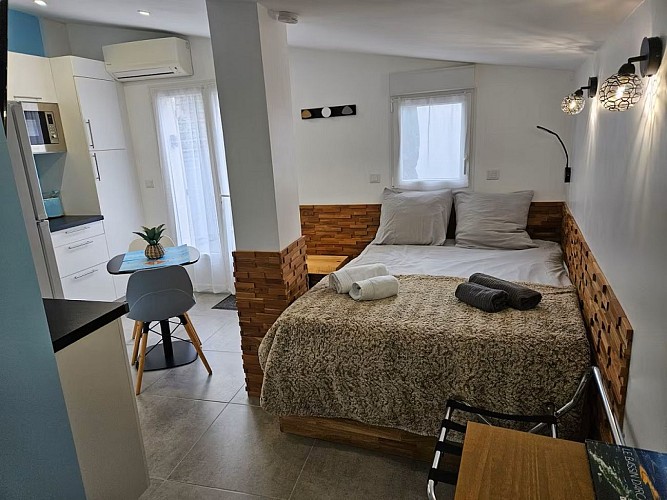 chambre et piece de vie