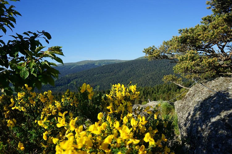 En VTT dans le Forez - Chalmazel