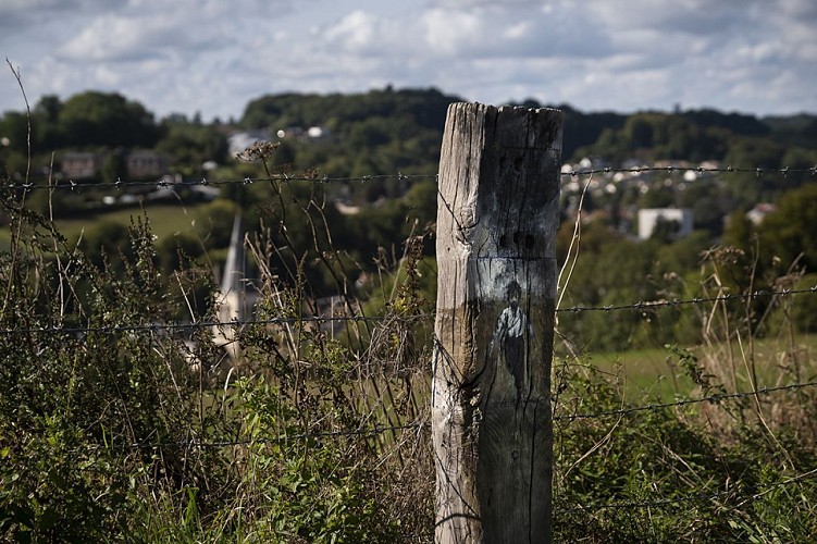 Cours et ne te retourne pas, La Rouille
