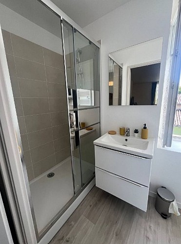 Salle de bain avec lavabo et grande douche